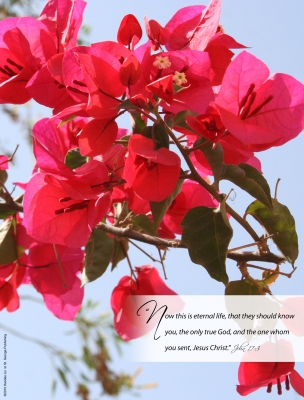 7th Sunday of Easter Cover