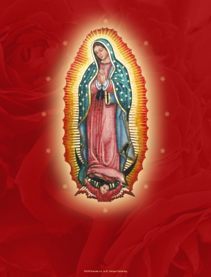 Our Lady of Guadalupe Cover