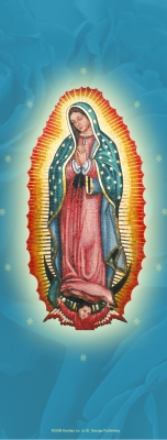 Our Lady of Guadalupe Vertical Cover