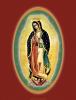 Our Lady of Guadalupe Cover