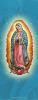 Our Lady of Guadalupe Vertical Cover